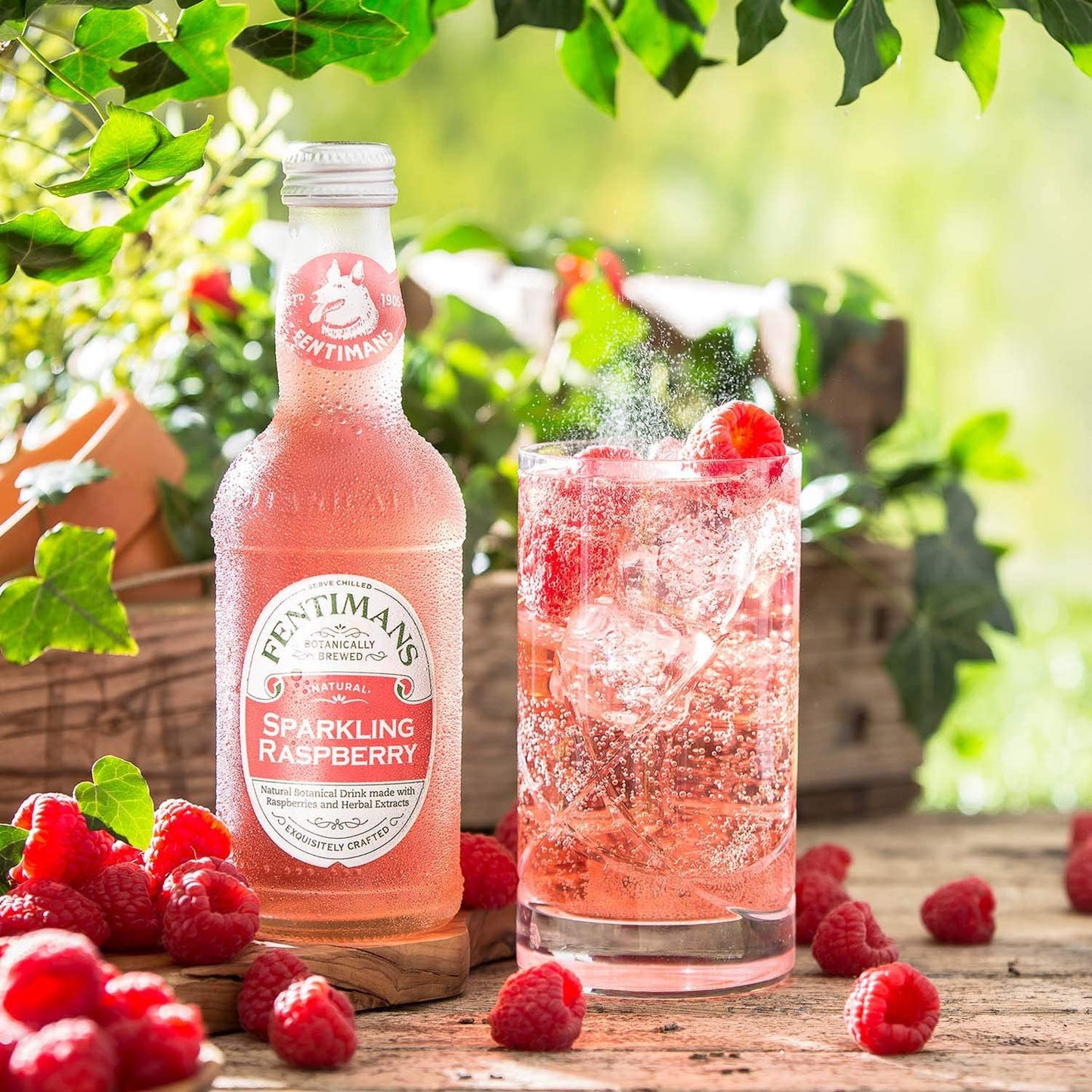 Fentiman's Raspberry Lemonade - 275ml x 12